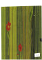 cmguidasito009003.jpg