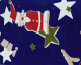 cmguidasito011008.jpg