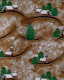 cmguidasito013011.jpg
