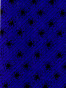 cmguidasito013023.jpg