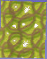 cmguidasito014008.jpg