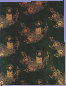 cmguidasito015001.jpg