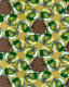 cmguidasito015007.jpg