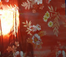 cmpasqua002006.jpg