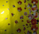 cmpasqua002007.jpg