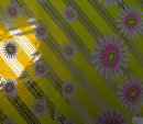 cmpasqua002008.jpg
