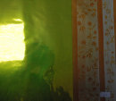 cmpasqua002010.jpg