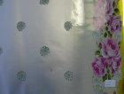 cmpasqua003008.jpg