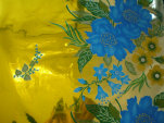 cmpasqua004001.jpg