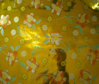 cmpasqua004010.jpg
