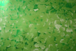cmpasqua005006.jpg