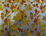 cmpasqua006007.jpg