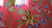 cmpasqua006008.jpg