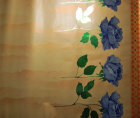 cmpasqua006010.jpg