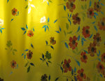cmpasqua007007.jpg