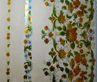 cmpasqua008010.jpg