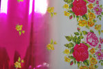 cmpasqua008011.jpg