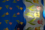 cmpasqua009006.jpg