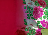 cmpasqua010002.jpg
